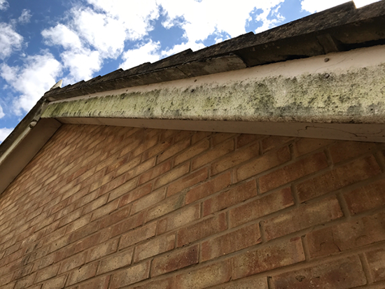Soffit and fascia cleaning kent